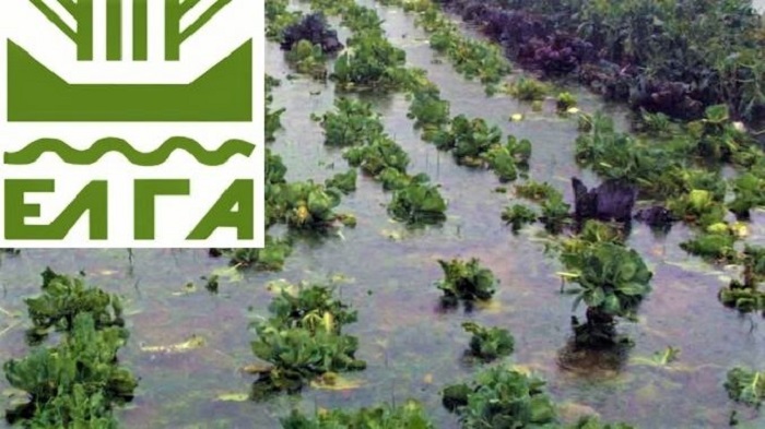 EΛΓΑ: 2,7 εκατ. ευρώ σε 106 δικαιούχους στη Λάρισα